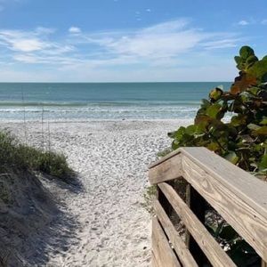 Meet your Posher, Ella